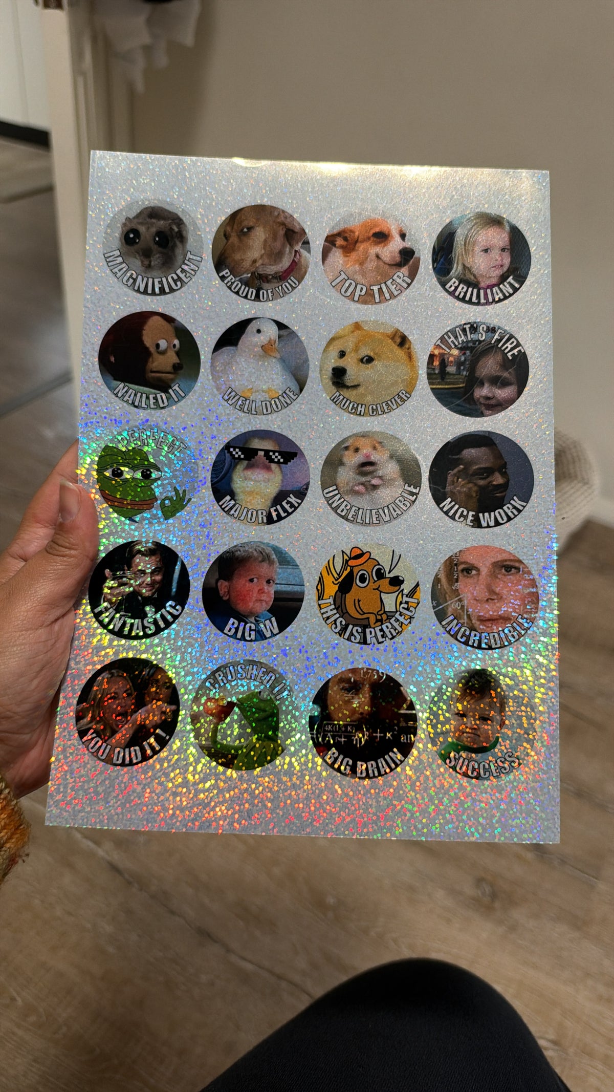 Meme Reward Stickers